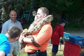 Boa Constrictor at 50th Anniversary Celebration